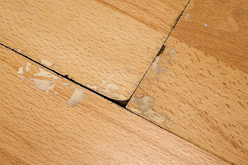 Sai lầm khi chọn sàn gỗ nếu chỉ chú trọng vào giá rẻ