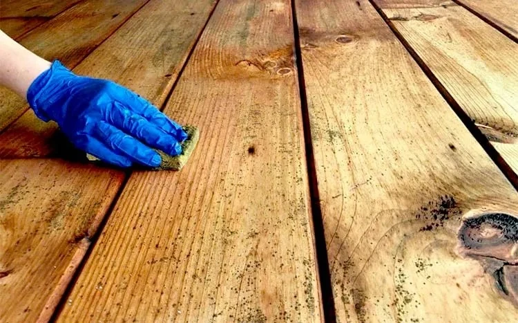 Các nguyên nhân gây ẩm mốc và mối mọt